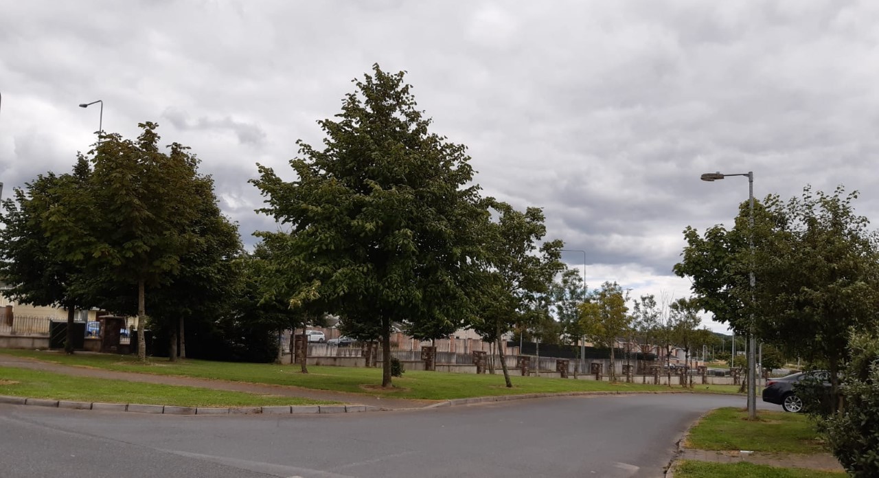 Maintenance fees for cutting of green and open spaces due before 31 July 2021.